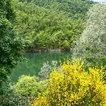 Hébergement de vacances House Overlooking Near Tuscany